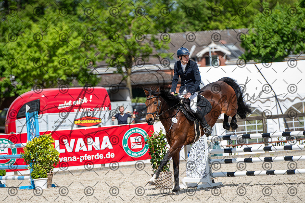 KPT_5294 | andre_photographic