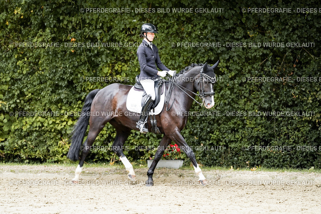 DSC05994 | Pferdegrafie