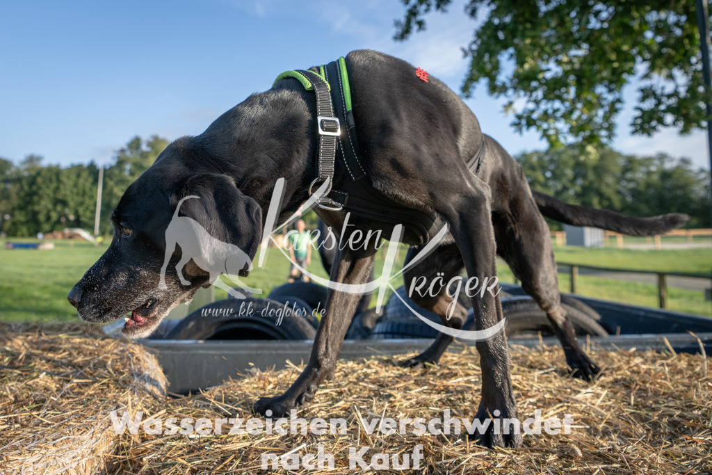 0830_ZZ91698 | kk-dogfotos