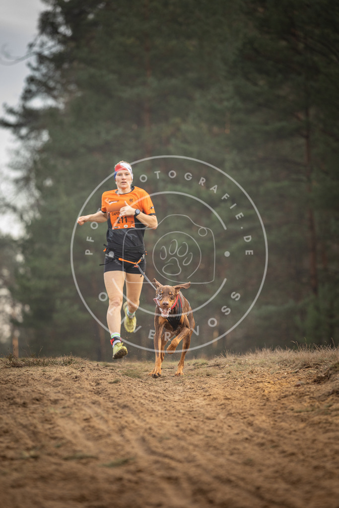 Pfotenfotografie_DV3A5165 | Hundefotografie, Tierfotograf, Pfotenfotografie, Fotoshooting Hund, Hunde Portrait, Hundesport, Hundeportraits, Heideshooting, Hunde, Sportfotograf, Hundefotograf, Turnierhundsport, THS,  - Realisiert mit Pictrs.com