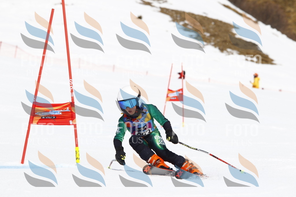 _U3G5761 | holidayphoto