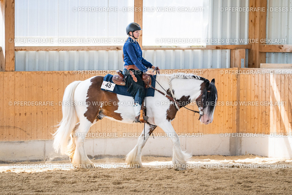 DSC03663 | Pferdegrafie