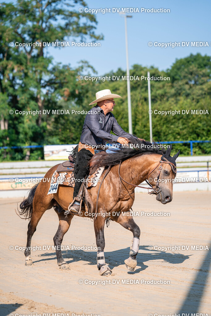 Zeiskam Tag 2-280 | dv-media-shop - Realisiert mit Pictrs.com