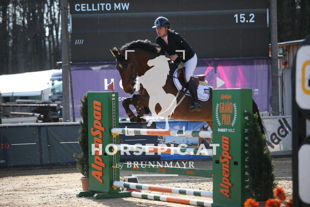 AS8V5736 | Willkommen bei Brunnmayr - Design & Fotografie – Ihrem Spezialisten für Reitturniere und Pferdeveranstaltungen in Oberösterreich, Salzburg und Bayern! Seit über 17 Jahren sind wir leidenschaftlich dabei.