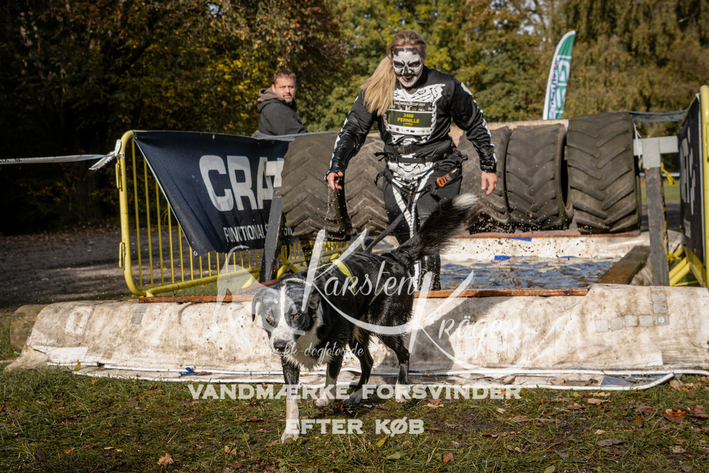 1348_ZZ93109 | kk-dogfotos