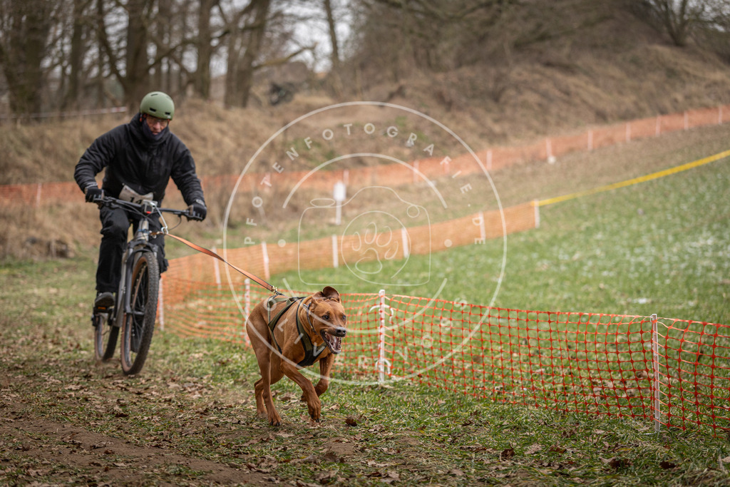 Pfotenfotografie_DV3A6828 | Hundefotografie, Tierfotograf, Pfotenfotografie, Fotoshooting Hund, Hunde Portrait, Hundesport, Hundeportraits, Heideshooting, Hunde, Sportfotograf, Hundefotograf, Turnierhundsport, THS,  - Realisiert mit Pictrs.com