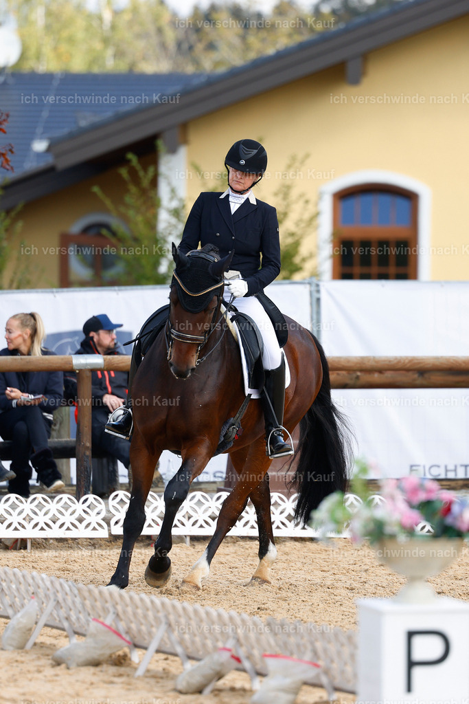 09_2-174-DRESSUR  S_  -StoibPH-5770 | working equitationturnier fotograf videograf stoibphotography marixx film working equitation deutschland reitsport turnierfotografie eventfotografie equestrian events