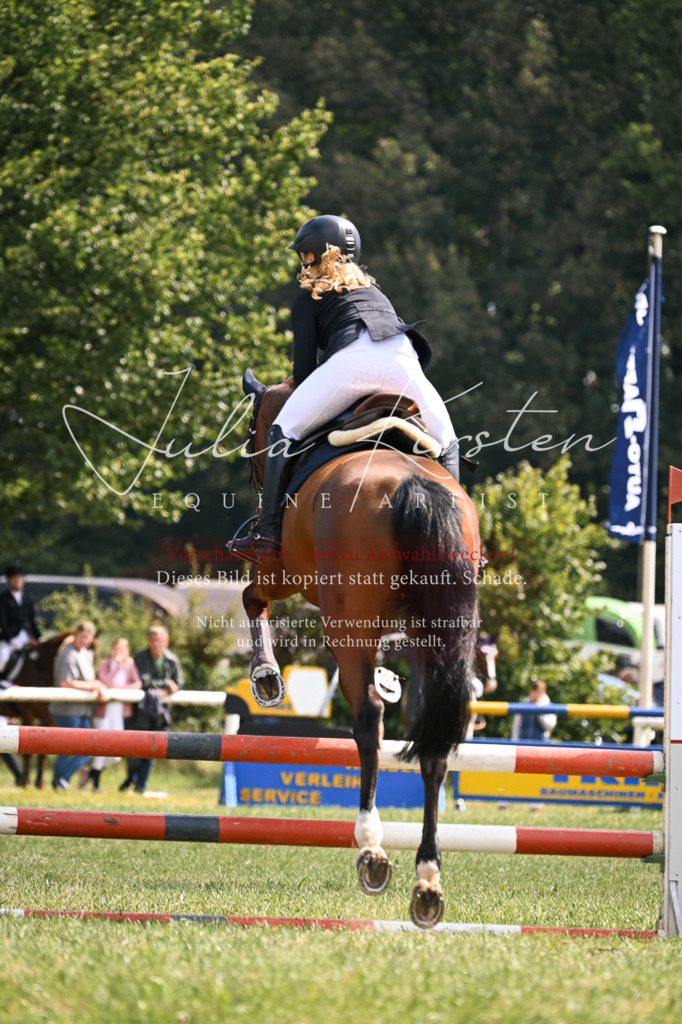 DSC_9031 | Pferde- und Turnierfotografie in Westsachsen. Pferdeportraits, Auftragszeichnungen und intuitive Kunst.