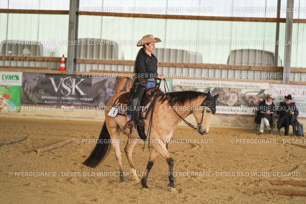 DSC01414 | Pferdegrafie