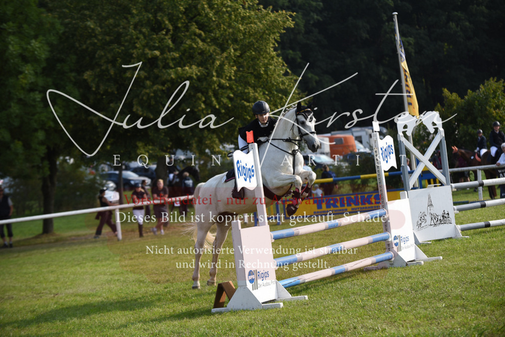 DSC_8645 | Pferde- und Turnierfotografie in Westsachsen. Pferdeportraits, Auftragszeichnungen und intuitive Kunst.