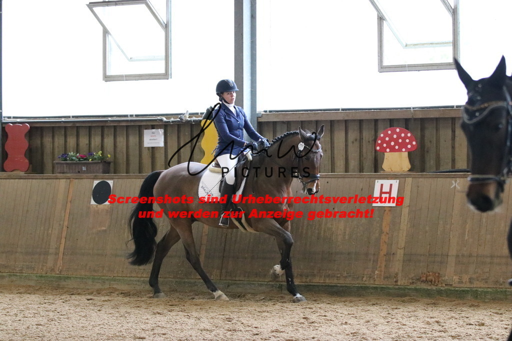 IMG_7042 | lmwpictures - Realisiert mit Pictrs.com