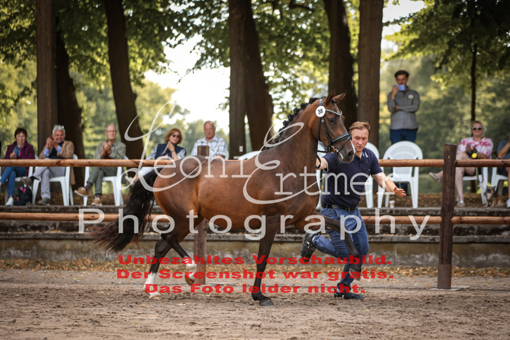 SoER00124 | Leoni Ertmer Photography - Realisiert mit Pictrs.com