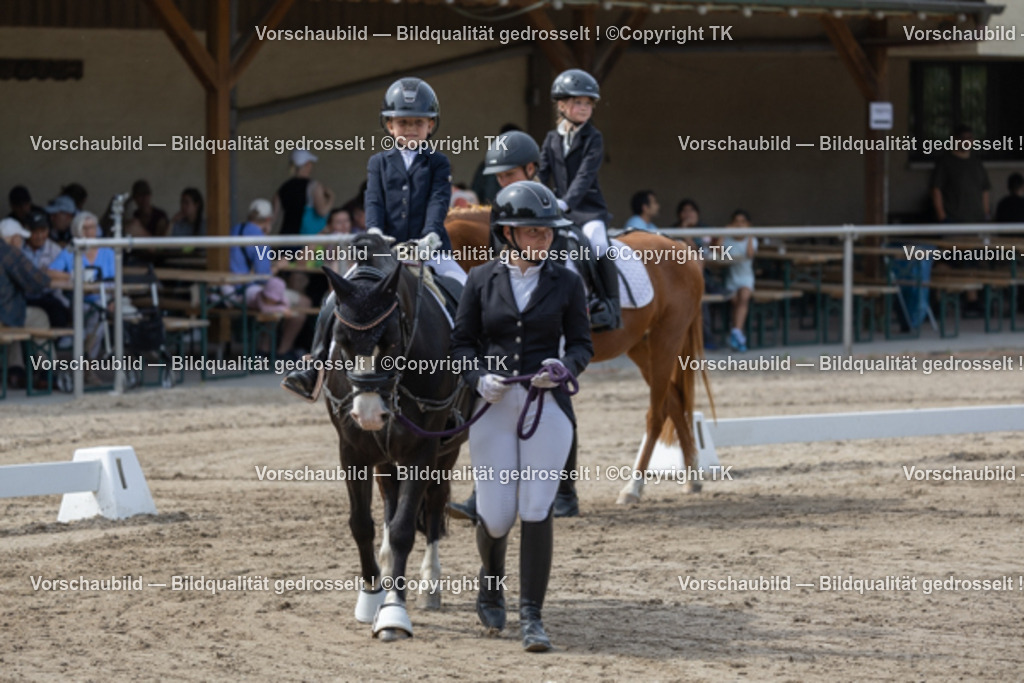 _D5A5576 | Emotionale Pferde- & People-Fotografie rund um Heidelberg, Leimen & Umgebung. Natürliche Fotos von Pferd, Mensch & Familie. Jetzt Termin sichern!