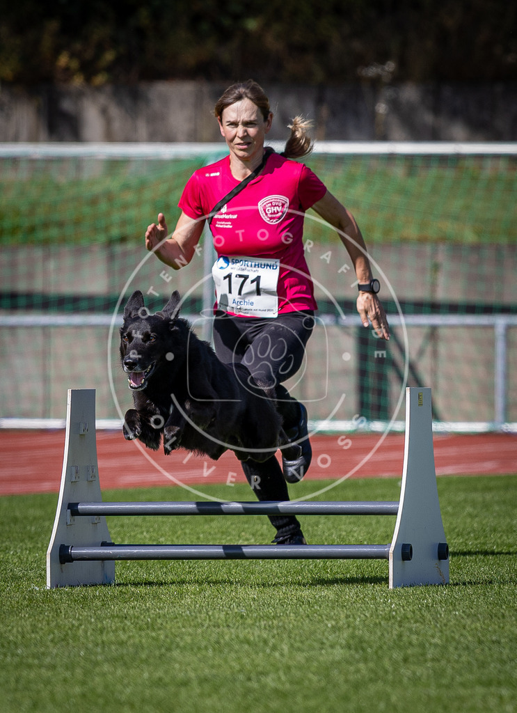 Pfotenfotografie_DV3A9917 | Hundefotografie, Tierfotograf, Pfotenfotografie, Fotoshooting Hund, Hunde Portrait, Hundesport, Hundeportraits, Heideshooting, Hunde, Sportfotograf, Hundefotograf, Turnierhundsport, THS,  - Realisiert mit Pictrs.com