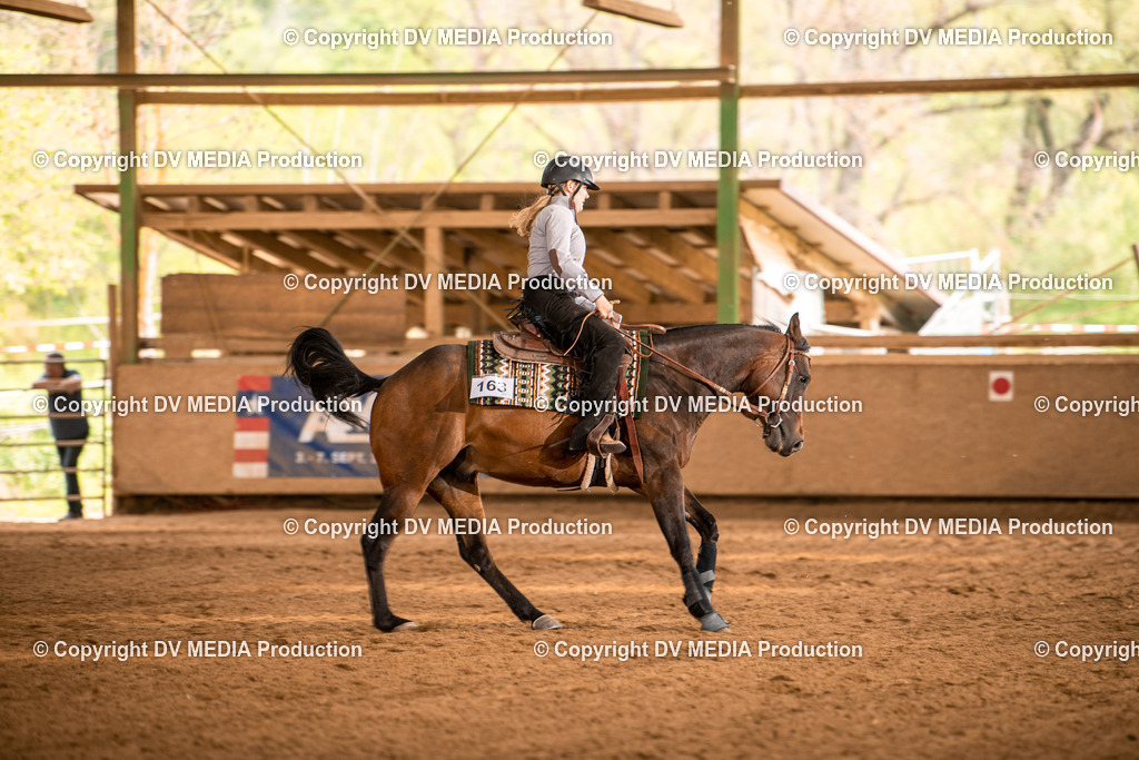 Balingen Tag 5-681 | dv-media-shop - Realisiert mit Pictrs.com