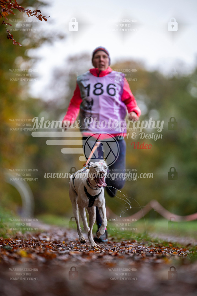 DBT_DAKM_SA_4_11_2023_Canicross-33 | PayLife