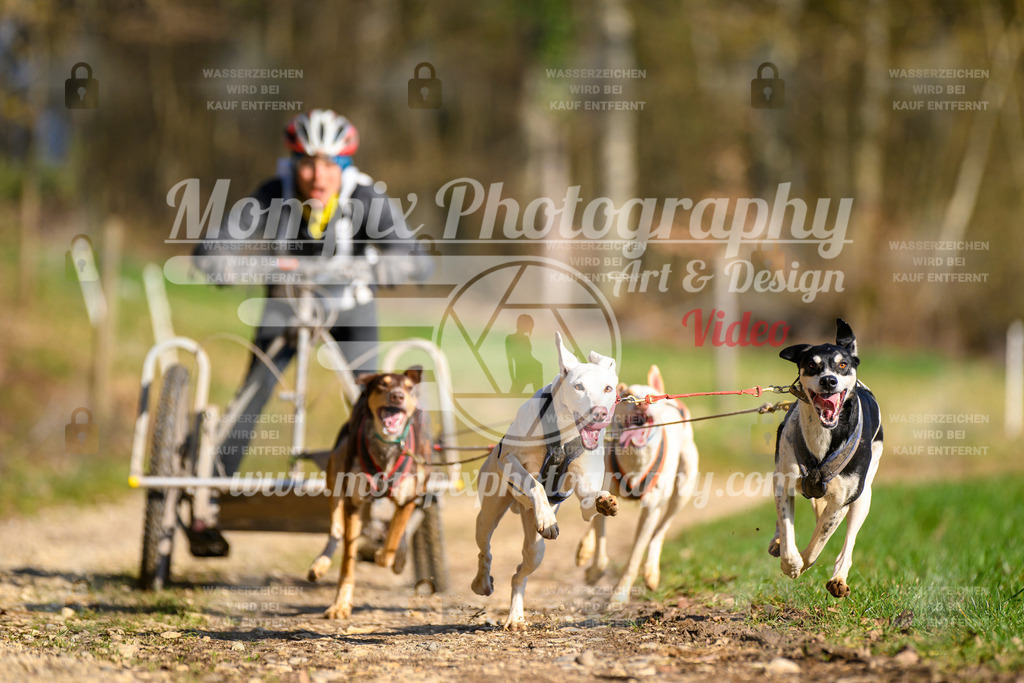 MompixPhotography_ReiatRennen2024_Nome-20 | PayLife