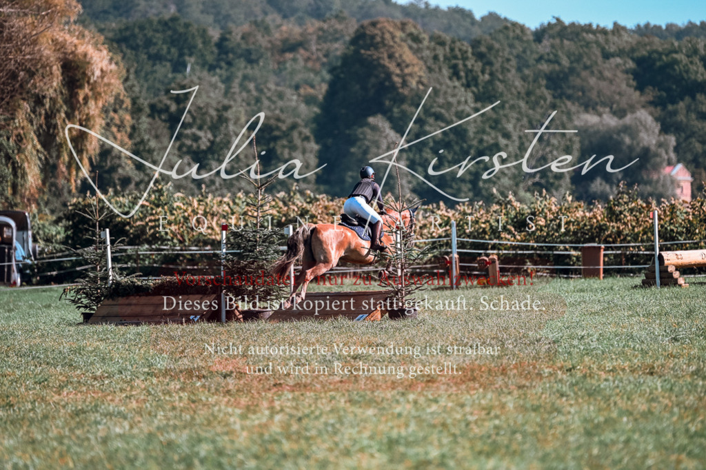 DSC_0792 | Pferde- und Turnierfotografie in Westsachsen. Pferdeportraits, Auftragszeichnungen und intuitive Kunst.