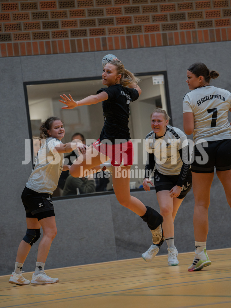 Handball I Frauen I Saison 2025-2026 I Landesliga HR West I 10. Spieltag I TuS Frisia Goldenstedt - SV Falke Steinfeld I 342 | jns.sportfotos - Realisiert mit Pictrs.com