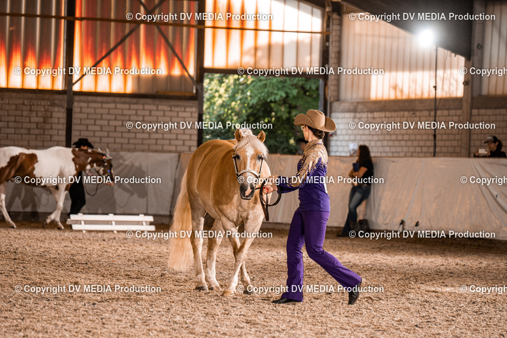 ZH100167 | dv-media-shop - Realisiert mit Pictrs.com