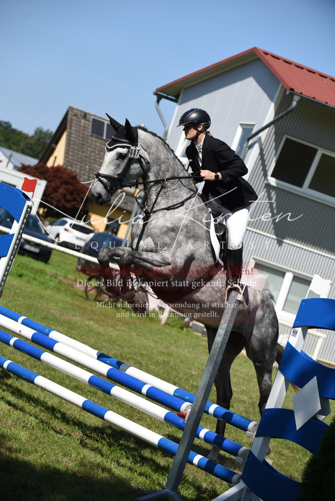 DSC_9524 | Pferde- und Turnierfotografie in Westsachsen. Pferdeportraits, Auftragszeichnungen und intuitive Kunst.