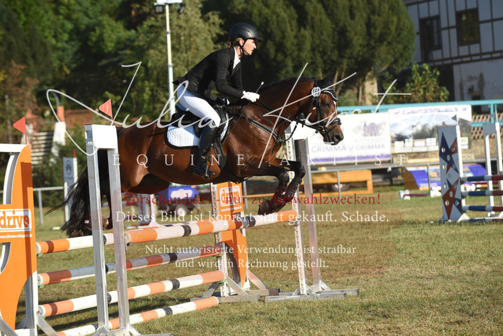 DSC_4928 | Pferde- und Turnierfotografie in Westsachsen. Pferdeportraits, Auftragszeichnungen und intuitive Kunst.