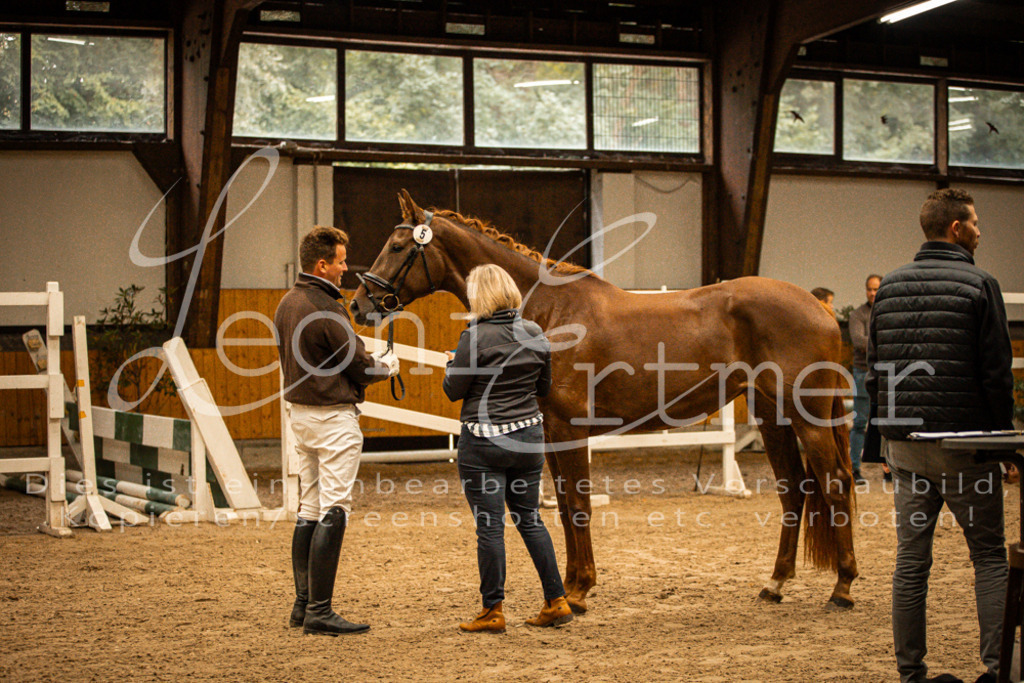 1FS_L00075 | Leoni Ertmer Photography - Realisiert mit Pictrs.com