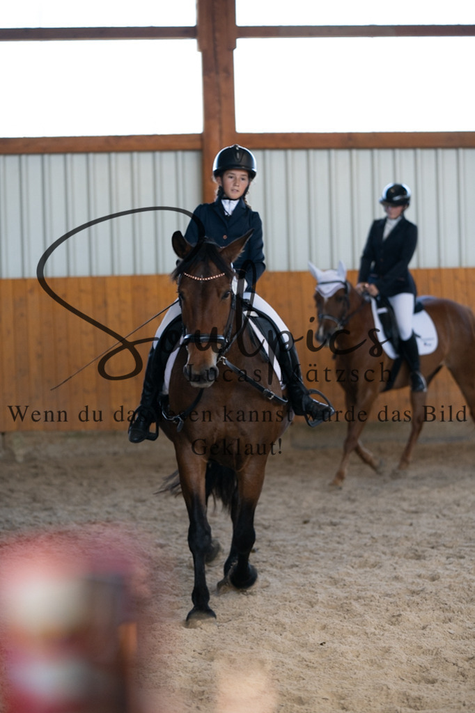 A7V02115 | Turnier/Reitfotograf