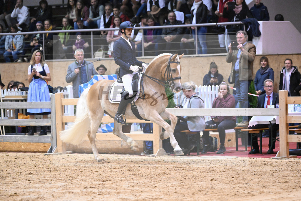 Schauprogramm_54222609 | hf-fotografie - Realisiert mit Pictrs.com