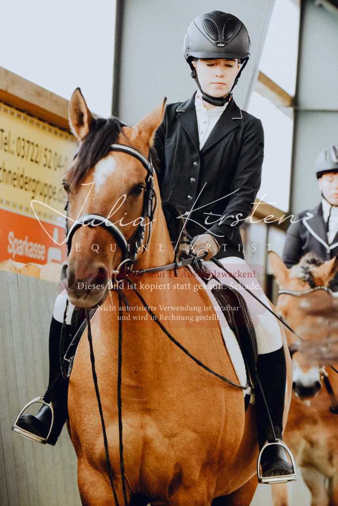 DSC_7276 | Pferde- und Turnierfotografie in Westsachsen. Pferdeportraits, Auftragszeichnungen und intuitive Kunst.
