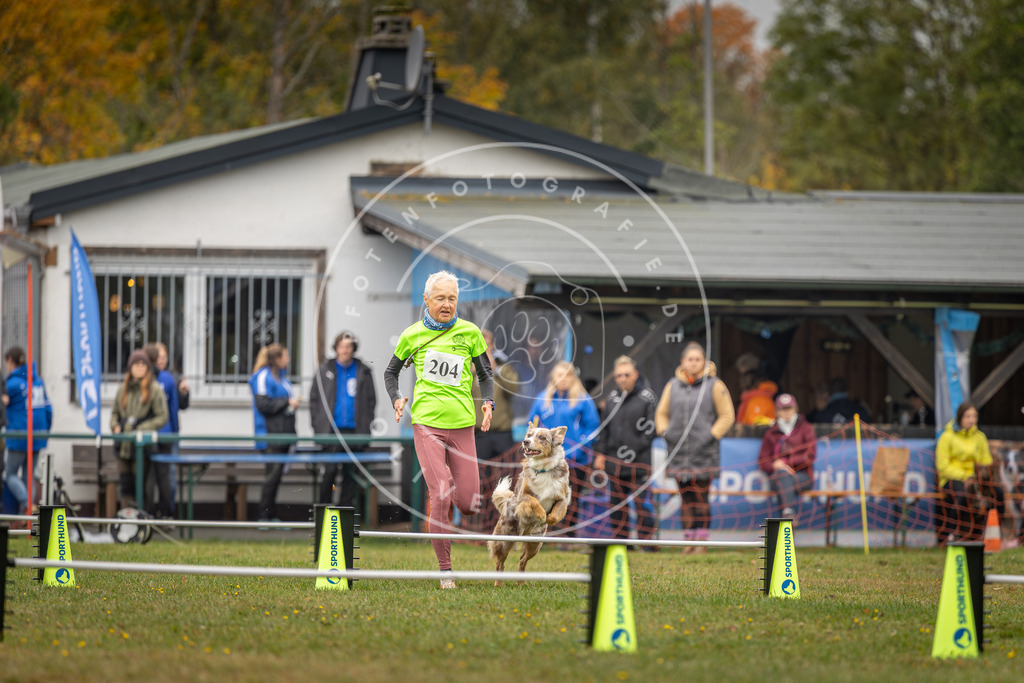 Pfotenfotografie_DV3A1673 | Hundefotografie, Tierfotograf, Pfotenfotografie, Fotoshooting Hund, Hunde Portrait, Hundesport, Hundeportraits, Heideshooting, Hunde, Sportfotograf, Hundefotograf, Turnierhundsport, THS,  - Realisiert mit Pictrs.com