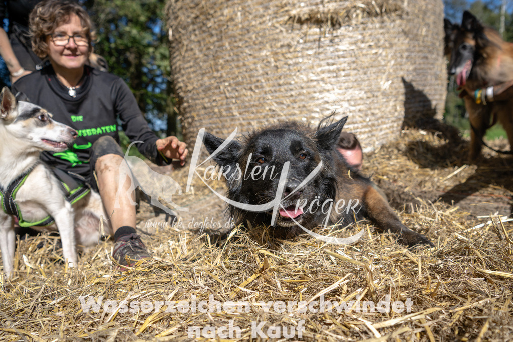 1234_ZZ91577-2 | kk-dogfotos