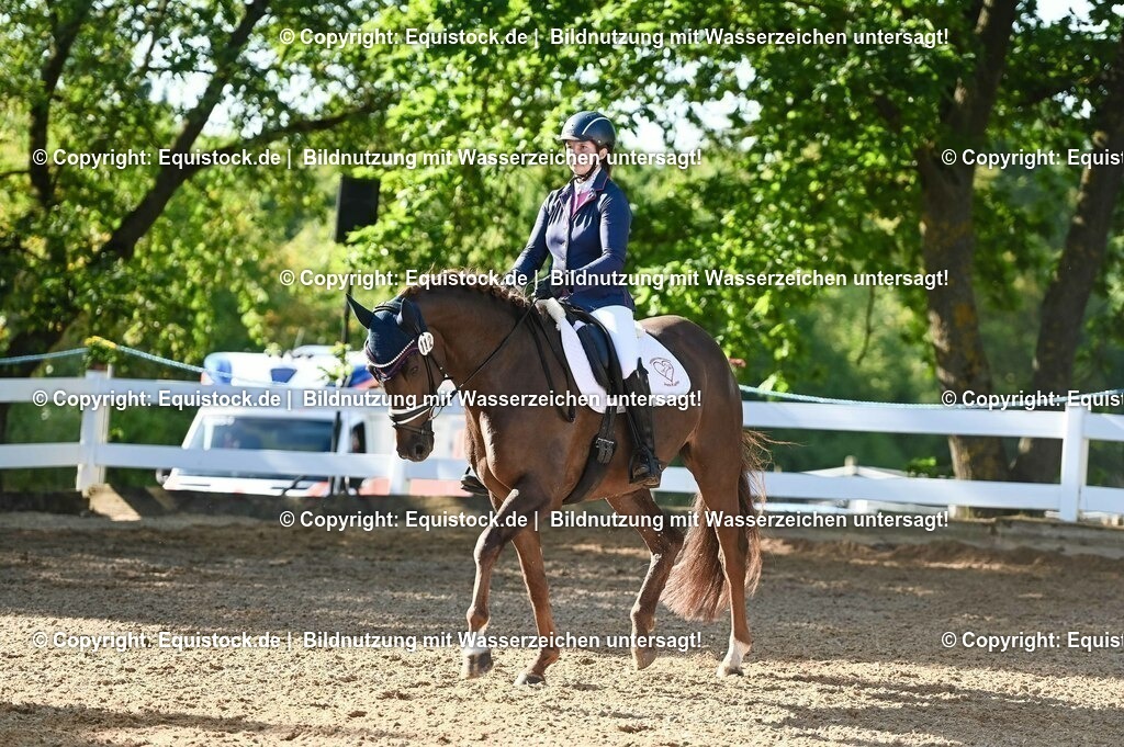 20230715_06_Dressurpferdeprfg. Kl.A_0120 | equistock