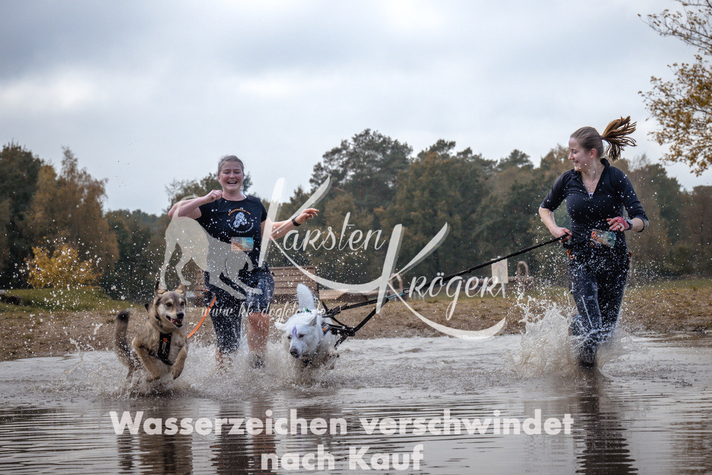 1340_ZZ94525 | kk-dogfotos