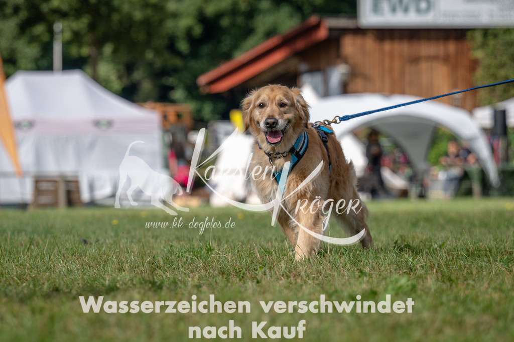1040_ZZ93052 | kk-dogfotos