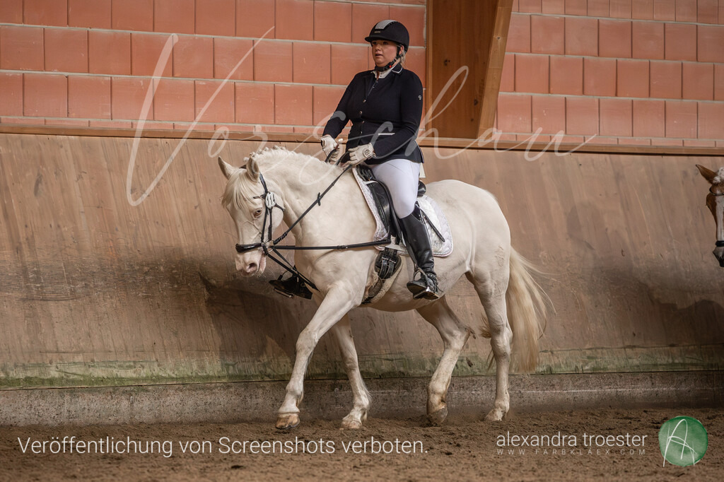 260328_Barop_07_116 | farbklaex.com