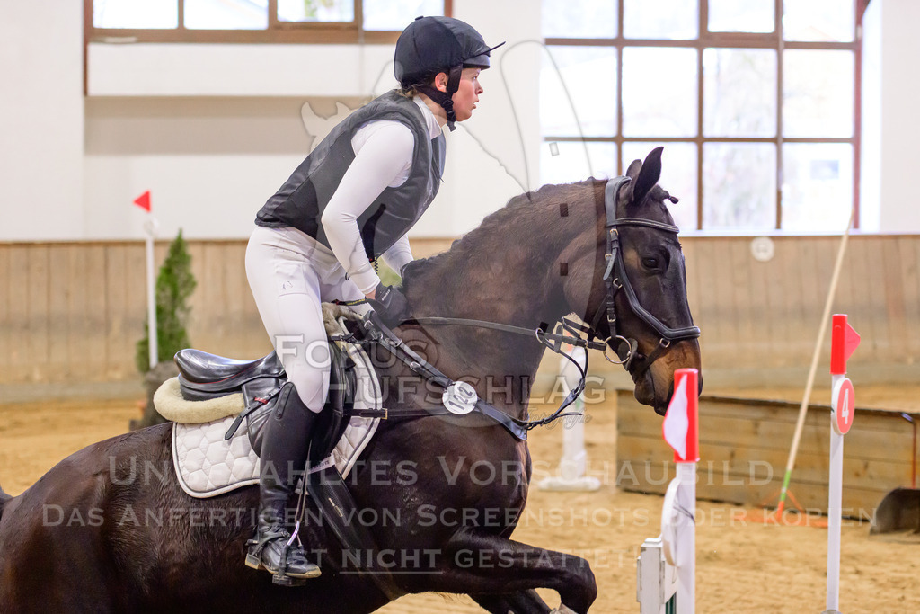 29032026-Schwaiganger-Prfg03-2-0048 | Fokus Hufschlag Fotografie - Realisiert mit Pictrs.com