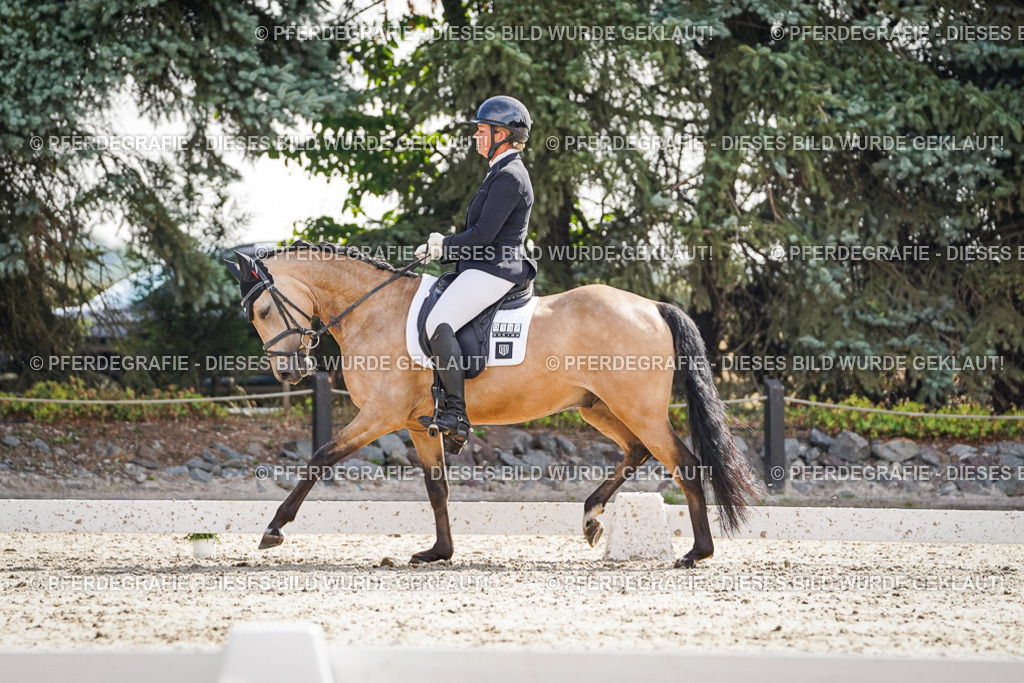 DSC06697 | Pferdegrafie