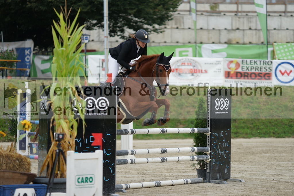 DSC03617 | equestrian-live-com