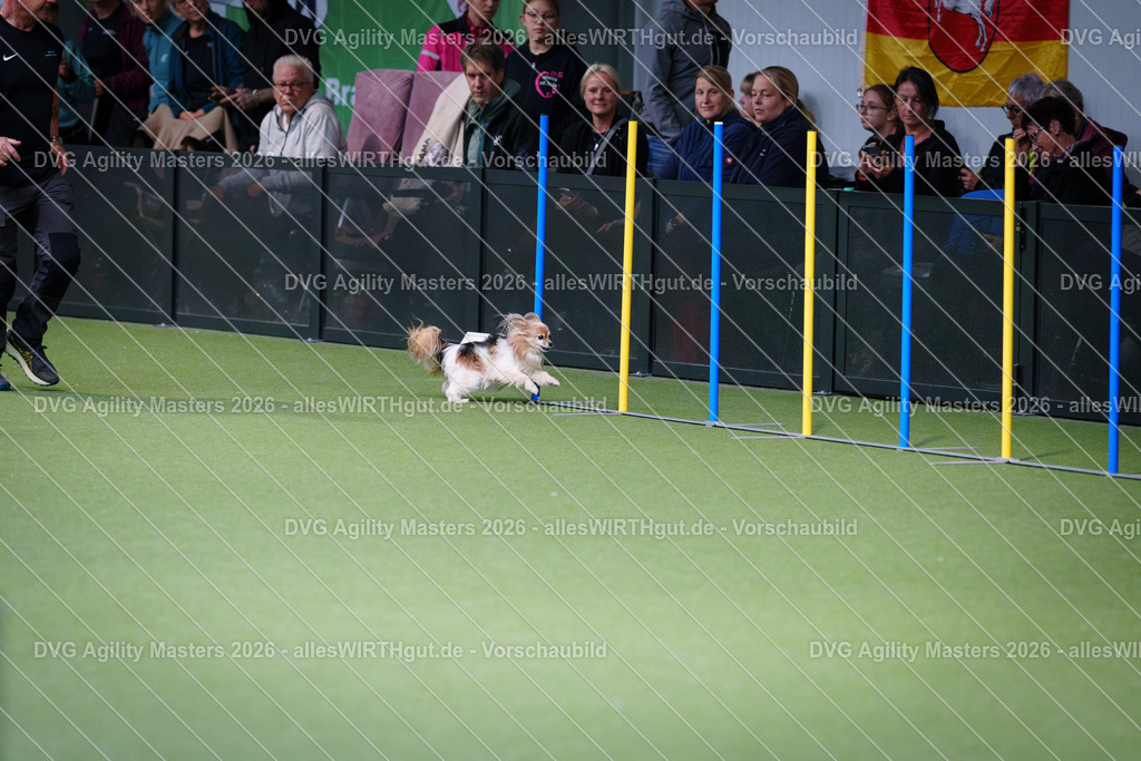 allesWIRTHgut_Tierfotografie-DVG_Agility_Masters_2026-12_15-7R507718 | Professionelle Tierfotografie in Mönchengladbach von Daniel Wirth (allesWIRTHgut). Liebevolle & natürliche Bilder von Hunden & Katzen für unvergessliche Erinnerungen.
