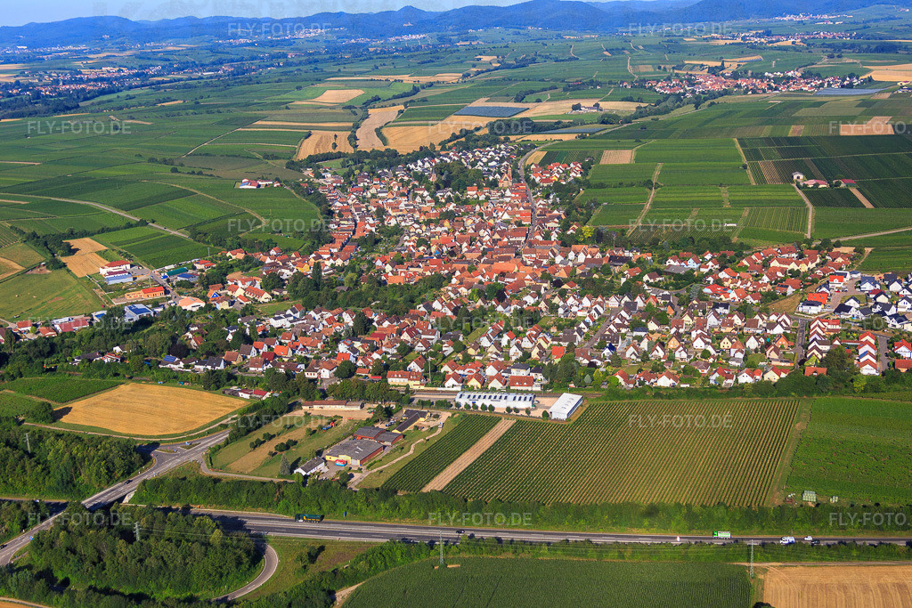 Dorfansicht jenseits der A65 aus Osten | Luftbild: Dorfansicht jenseits der A65 aus Osten in Insheim im Bundesland Rheinland-Pfalz in Deutschland. Foto: IMG_092504.jpg vom 01.08.2016 durch Werner Riehm/FLY-FOTO.de - Realisiert mit Pictrs.com