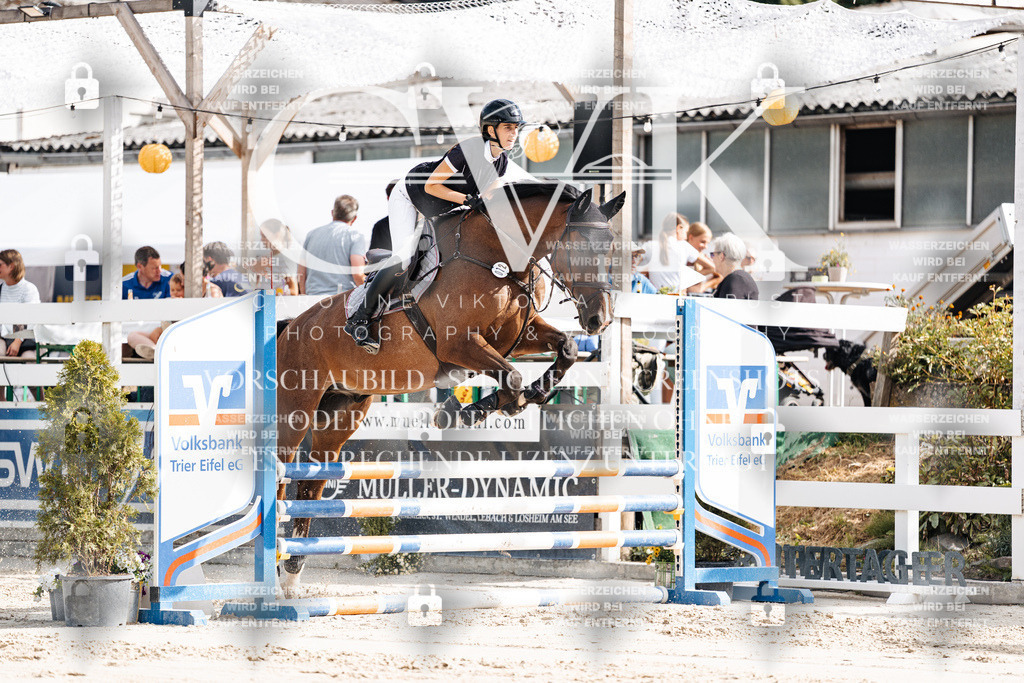CK909063 | Turnierfotografie Pferdefotografie Trier Rheinland-Pfalz Pferdesport Reitsport Tierfotografie Sportfotografie Pferdevideo Pferdevideografie Equestrianvideography equestrianphotography  - Realisiert mit Pictrs.com