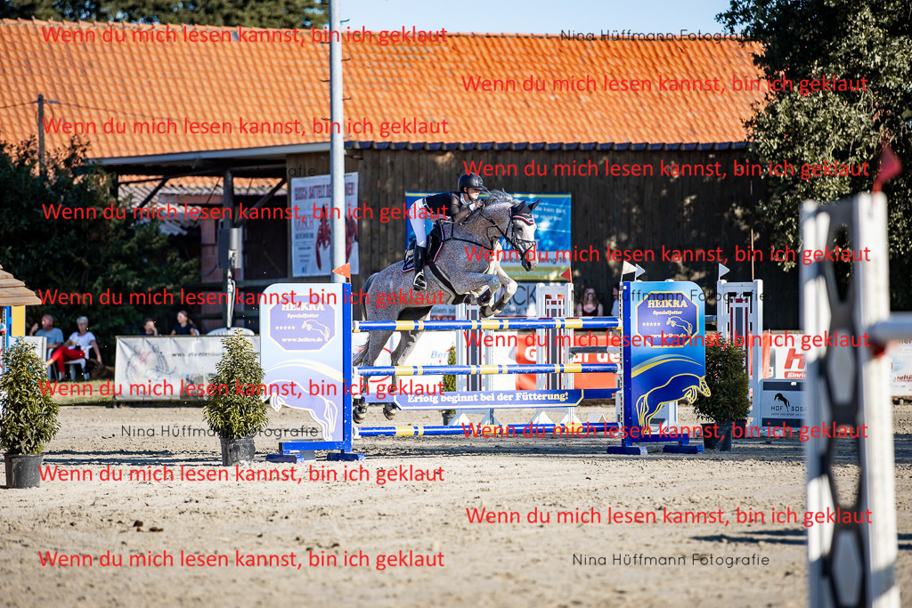 BK1A8307 | Turnierbilder Turnierfotos Nina Hüffmann Turnierfotografie Pferdefotografie Tierzeichnung Haustierzeichnung Pferdezeichnung Hundezeichnung Videograf  - Realisiert mit Pictrs.com