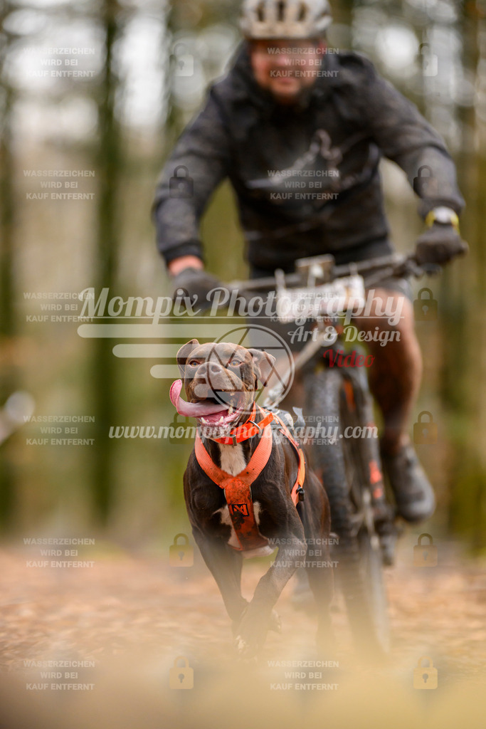 MompixPhotography_Habay2024_SA_Bike-75 | PayLife