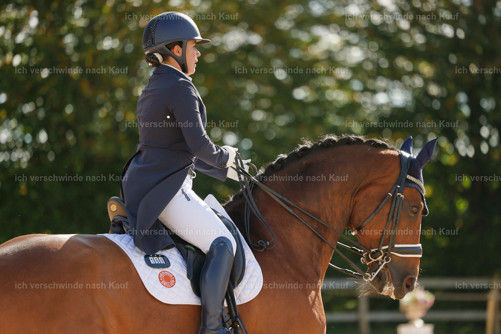 09_2-169-DRESSUR  S_  -StoibPH-5753 | working equitationturnier fotograf videograf stoibphotography marixx film working equitation deutschland reitsport turnierfotografie eventfotografie equestrian events
