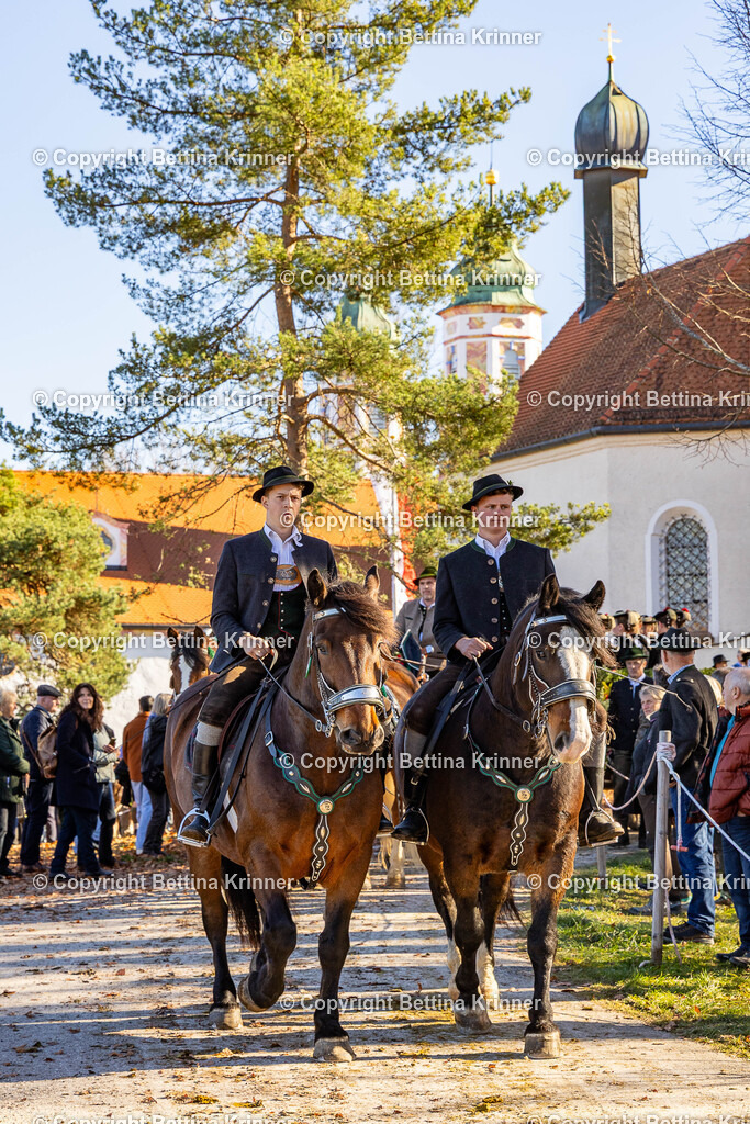 LBT25-1334 | foto-bettina-krinner - Realisiert mit Pictrs.com