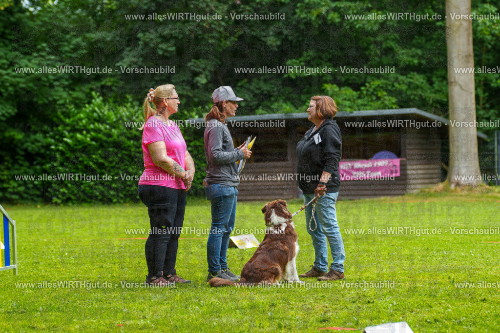 @allesWIRTHgut_Tierfotografie - www.allesWIRTHgut.de - 7R502668 | Professionelle Tierfotografie in Mönchengladbach von Daniel Wirth (allesWIRTHgut). Liebevolle & natürliche Bilder von Hunden & Katzen für unvergessliche Erinnerungen.