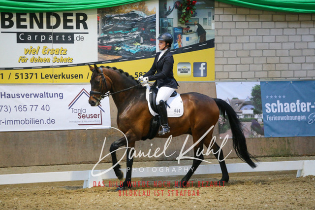 IMG_2879 | Turnierfotos kaufen im Webshop von Daniel Kuhl Photography – entdecke professionelle Reitsportfotos aus Turnieren & Events. Hochwertige Turnierbilder online bestellen & sichern. Jetzt Fotos von Reitsportturnieren kaufen!