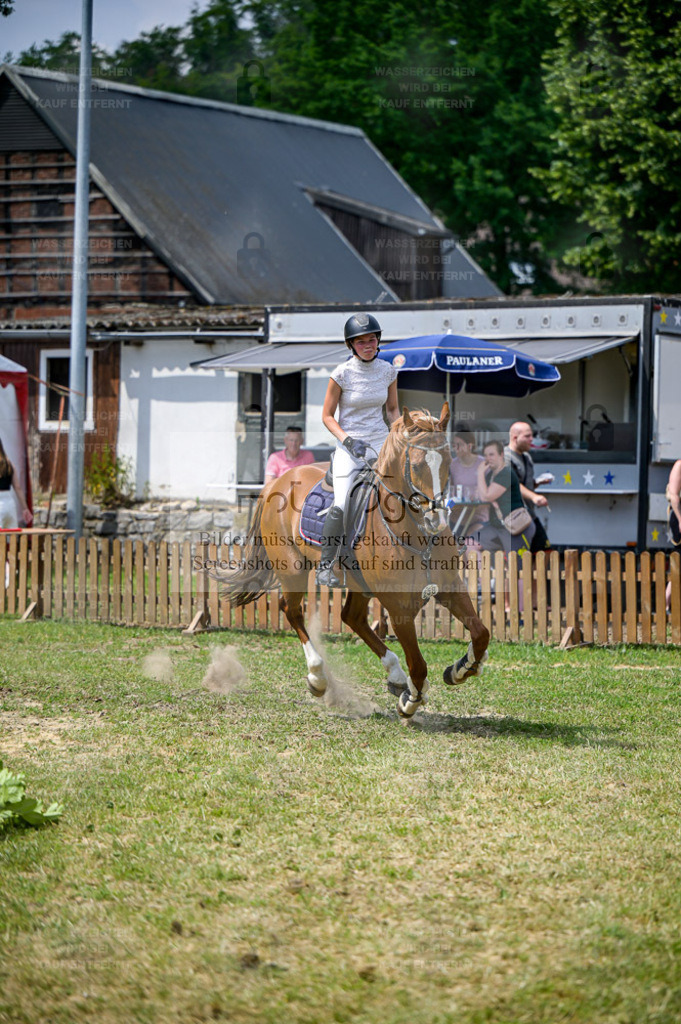 Reitturnier Voxtrup | Entdecke hochwertige Reitturnierfotos von Foto Oger. Professionell, emotional und authentisch – jetzt Lieblingsmomente im Shop bestellen. - Realisiert mit Pictrs.com