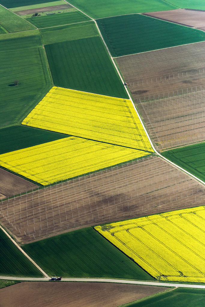 dr__0011504.jpg | PFöRRING 10.05.2017 Feld- Landschaft gelb blühender Raps- Blüten und Hopfenfeld in Pförring im Bundesland Bayern, Deutschland. // Field landscape of yellow flowering rapeseed flowers and hop field in Pforring in the state of Bavaria, Germany. Foto: Daniel Reiter